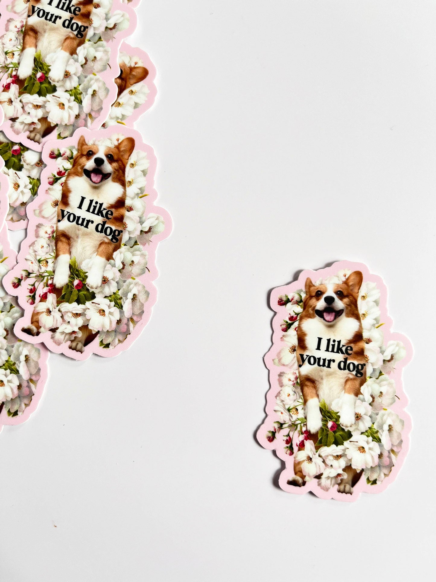 Colorful "I Like Your Dog" sticker from The Coin Laundry, featuring playful text design and dog-themed graphics.