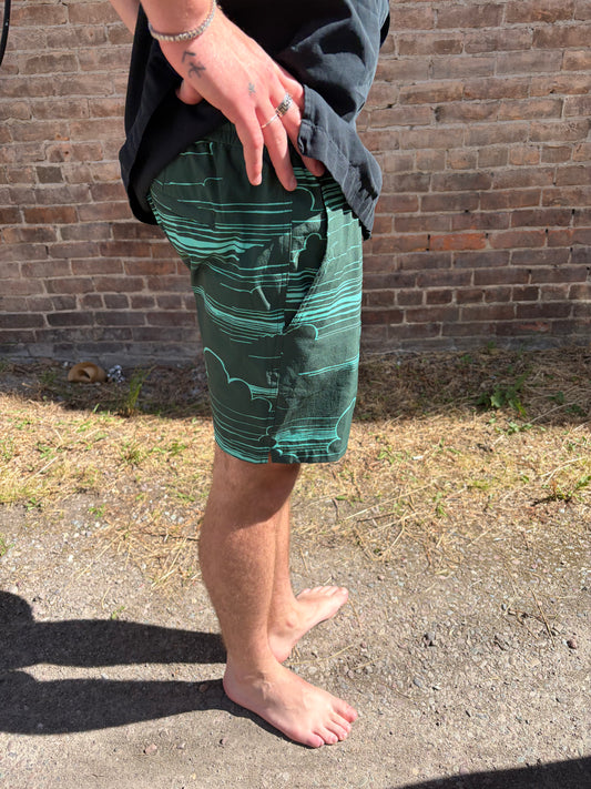 In the Clouds Swimshorts