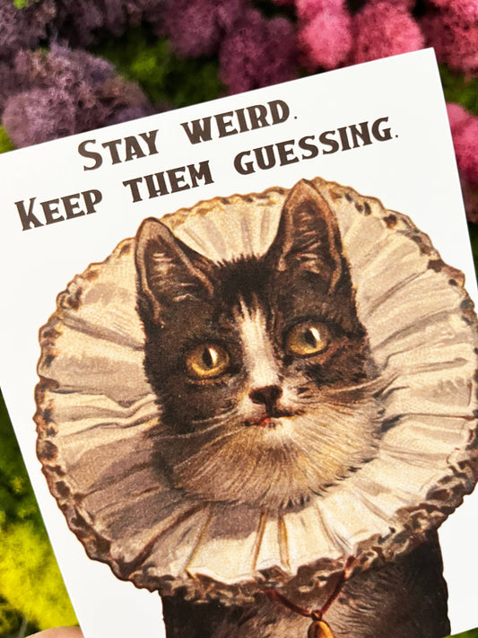 Stay Weird Funny Kitty birthday card by The Coin Laundry featuring a playful illustration of a quirky cat for friendship and everyday occasions.
