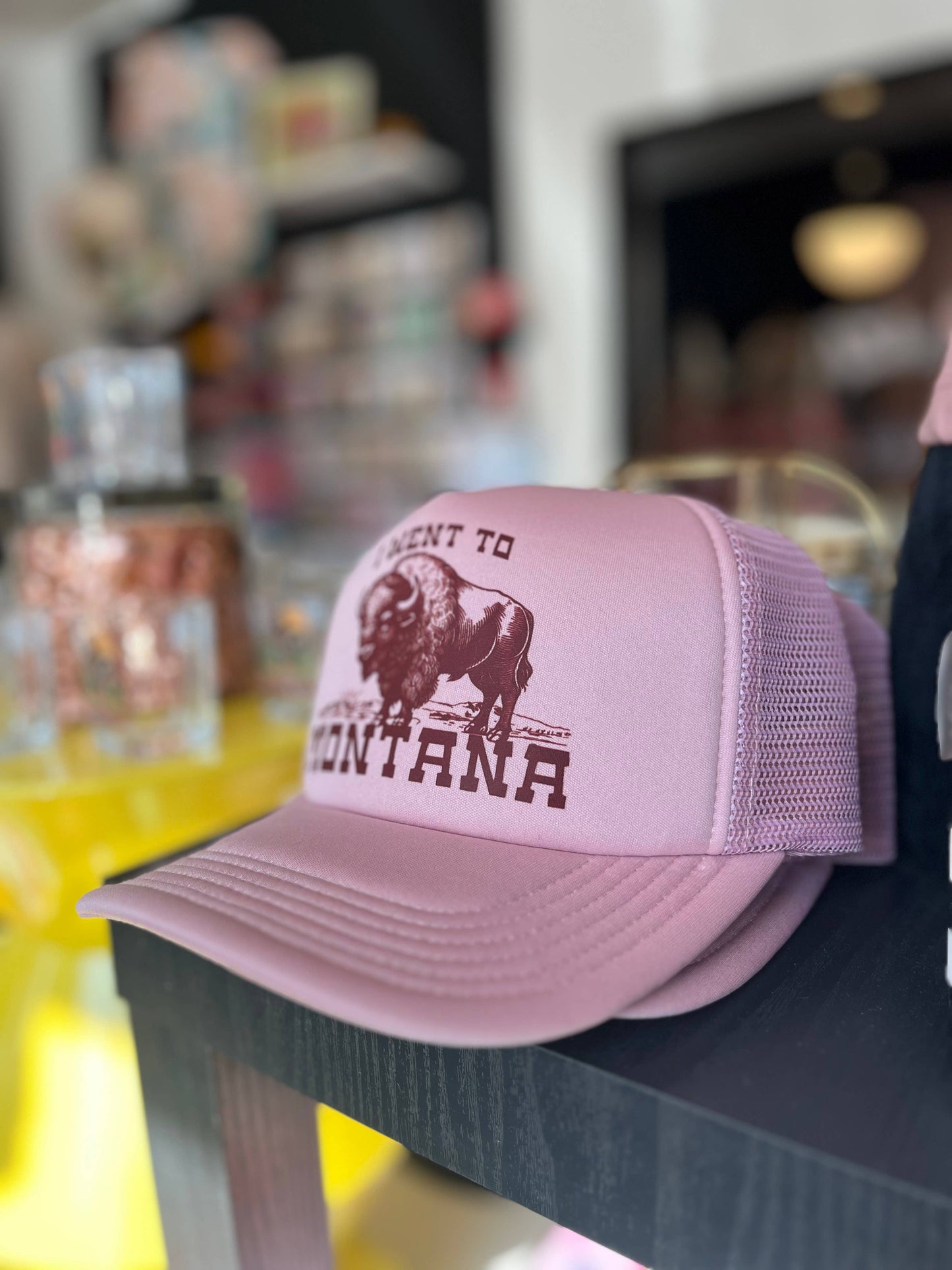 I Went To Montana Funny Bison Trucker Hat