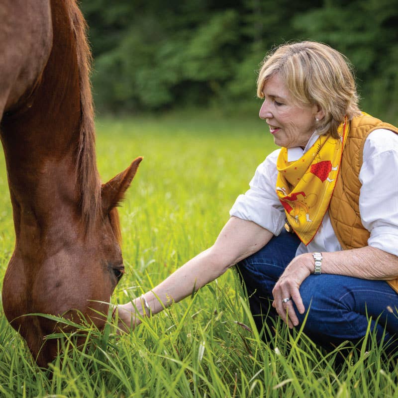 Jenni Earle Buck Up Buckaroo silk bandana scarf with colorful western-inspired print, lightweight and stylish accessory.