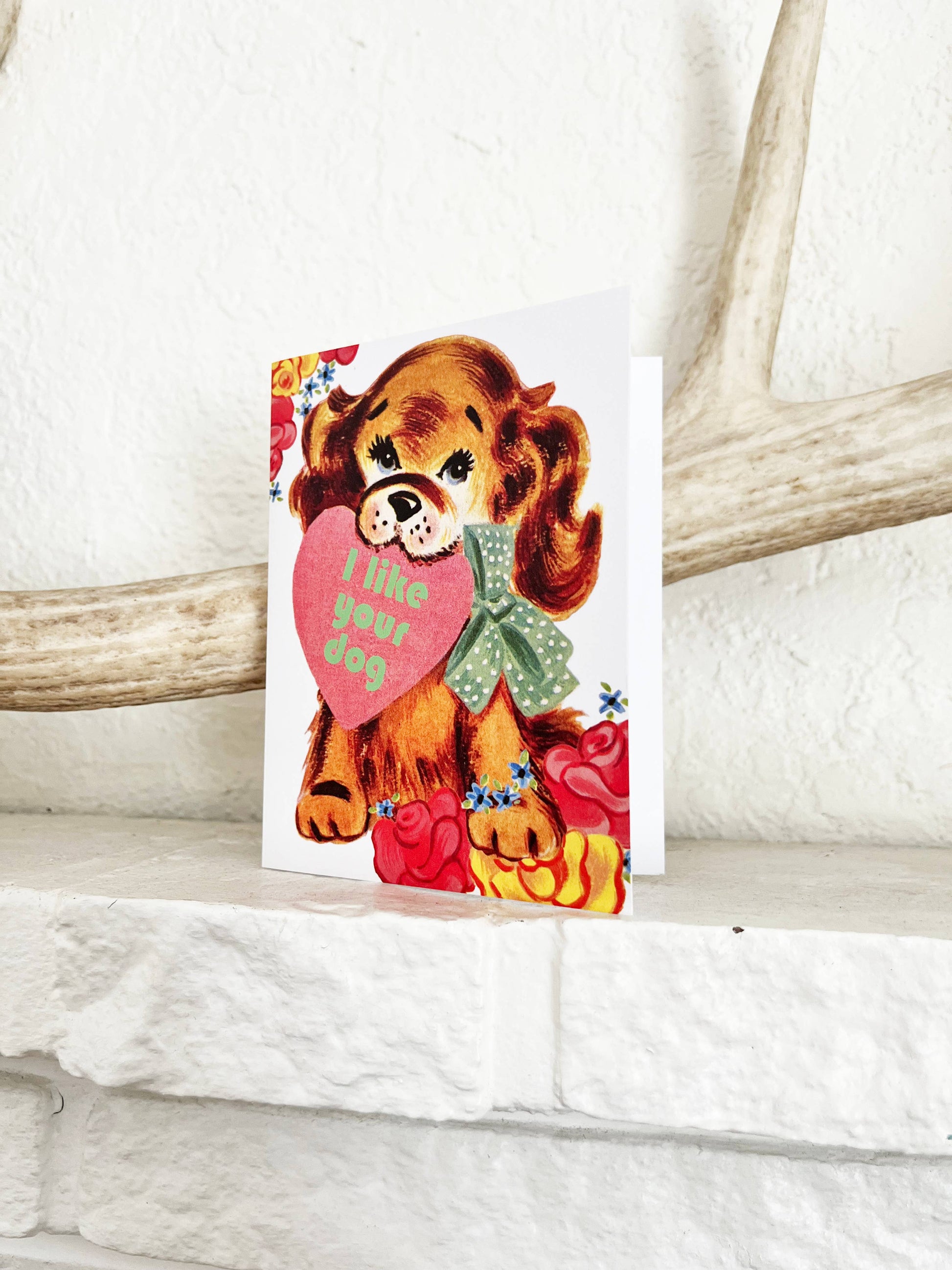Funny Valentine’s Day card featuring the message "I Like Your Dog" from The Coin Laundry, with playful dog illustrations.