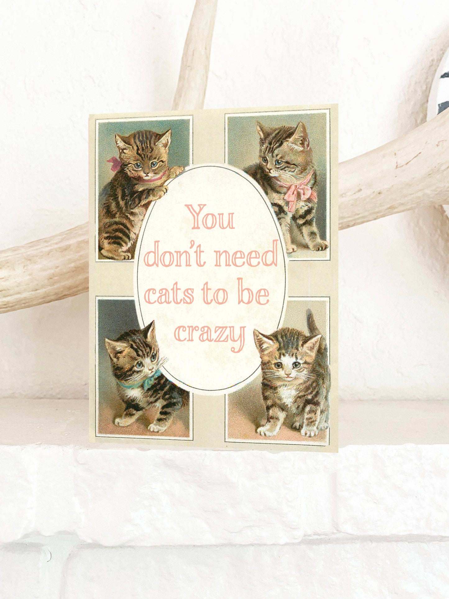 Crazy Cats Funny Card - Fun Birthday Friendship Love Cards
