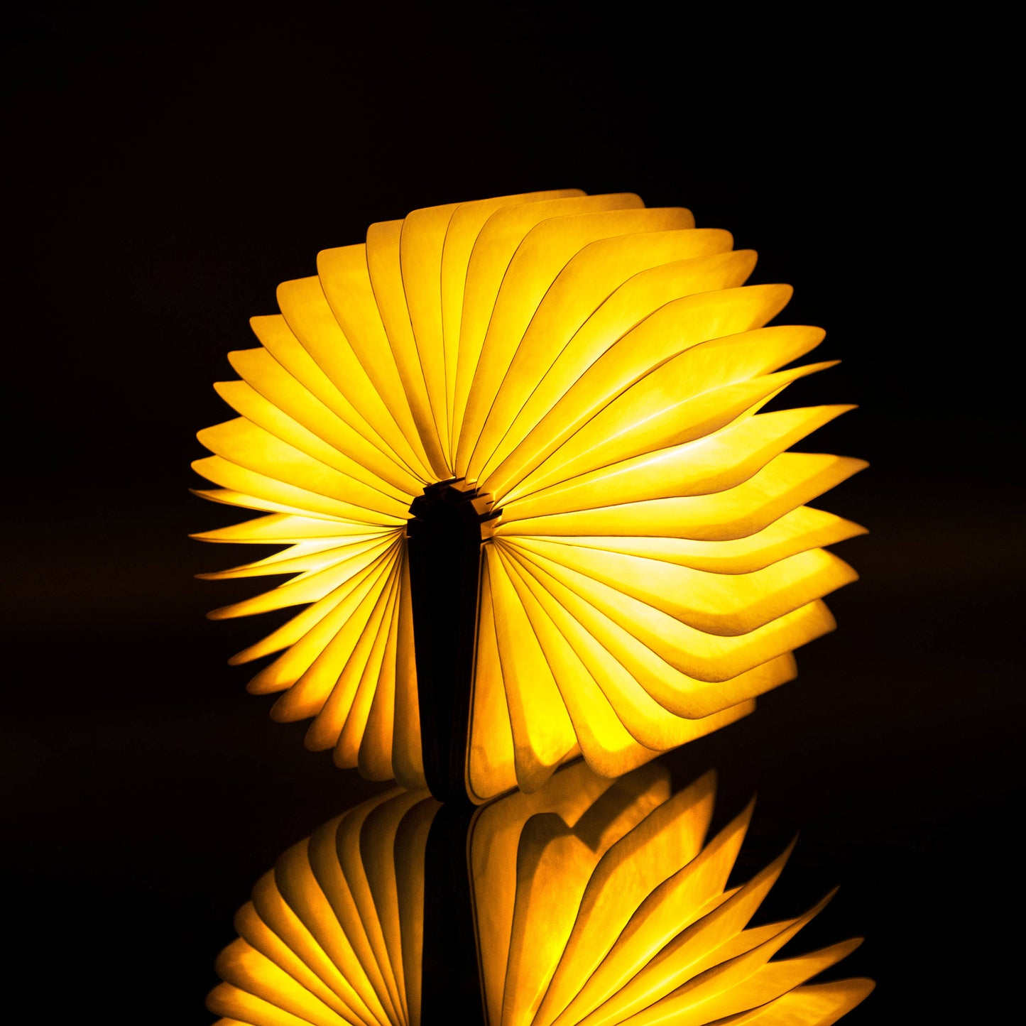 Natural wood smart book light from Gingko Design, featuring a sleek lamp with wooden finish and integrated LED lighting.