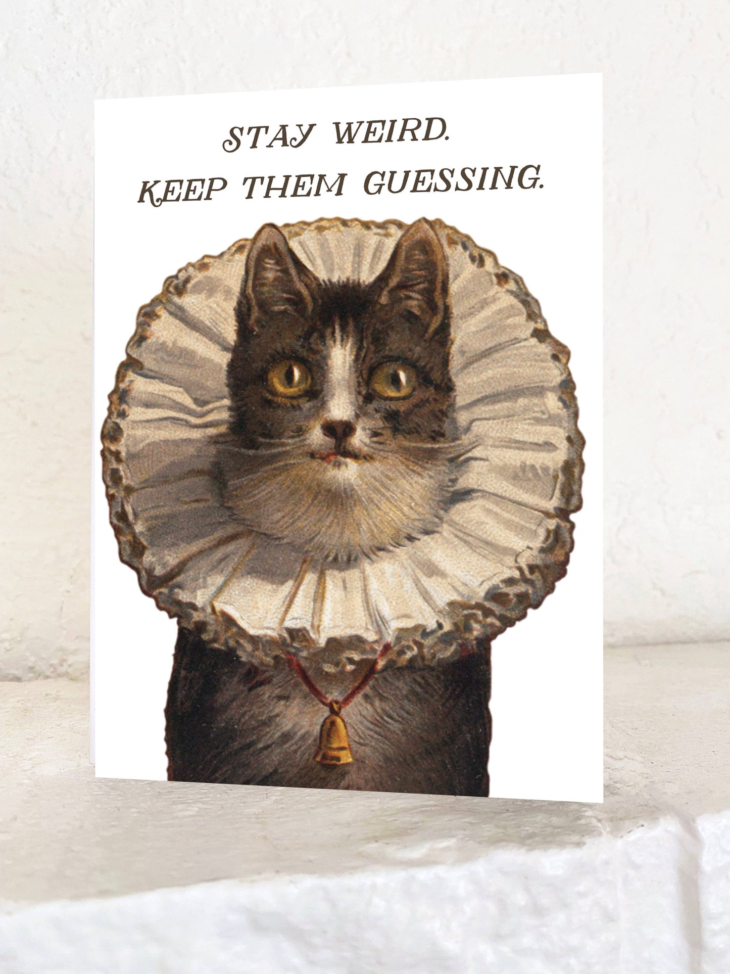 Stay Weird Funny Kitty Card - Birthday Friendship Everyday