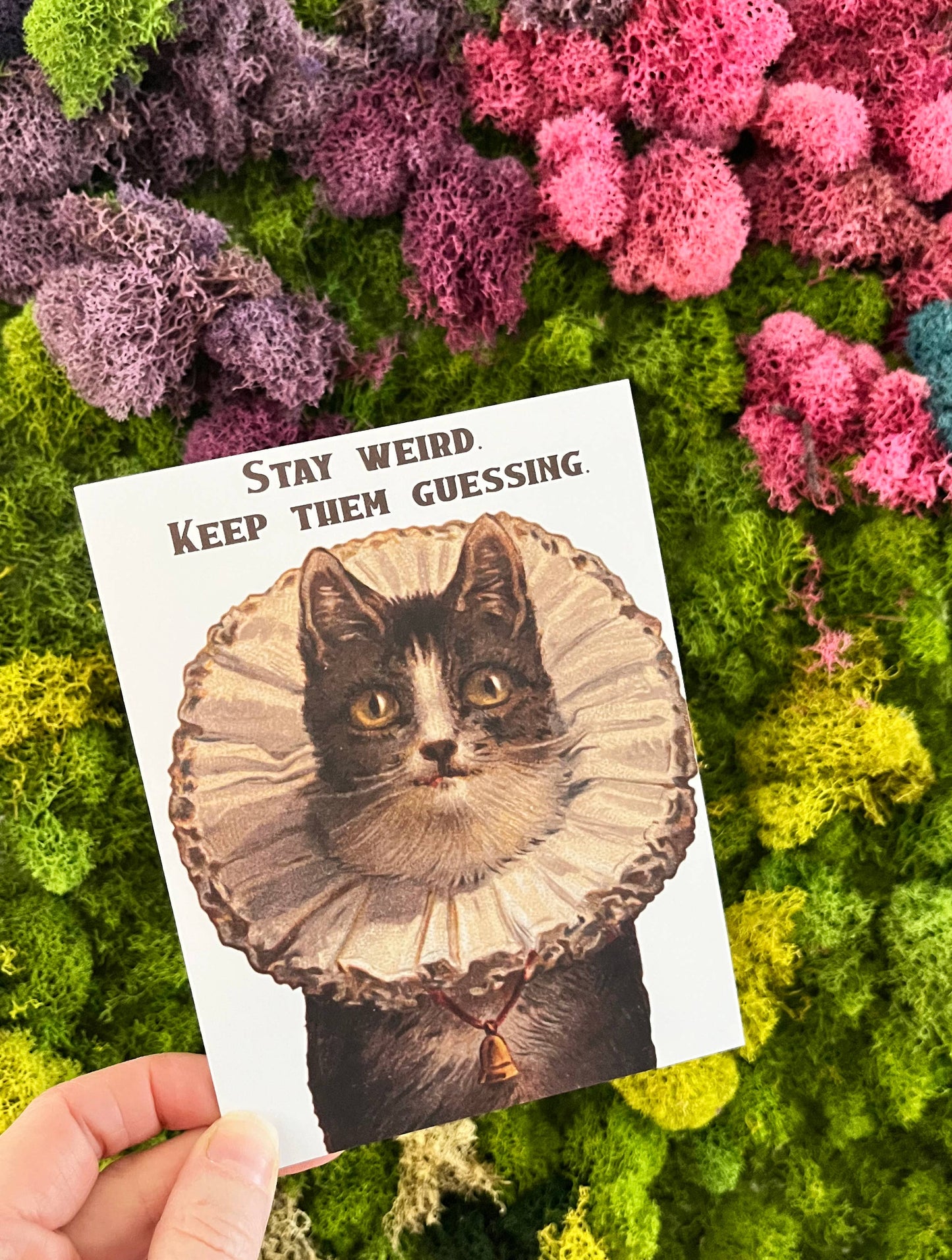 Stay Weird Funny Kitty Card - Birthday Friendship Everyday