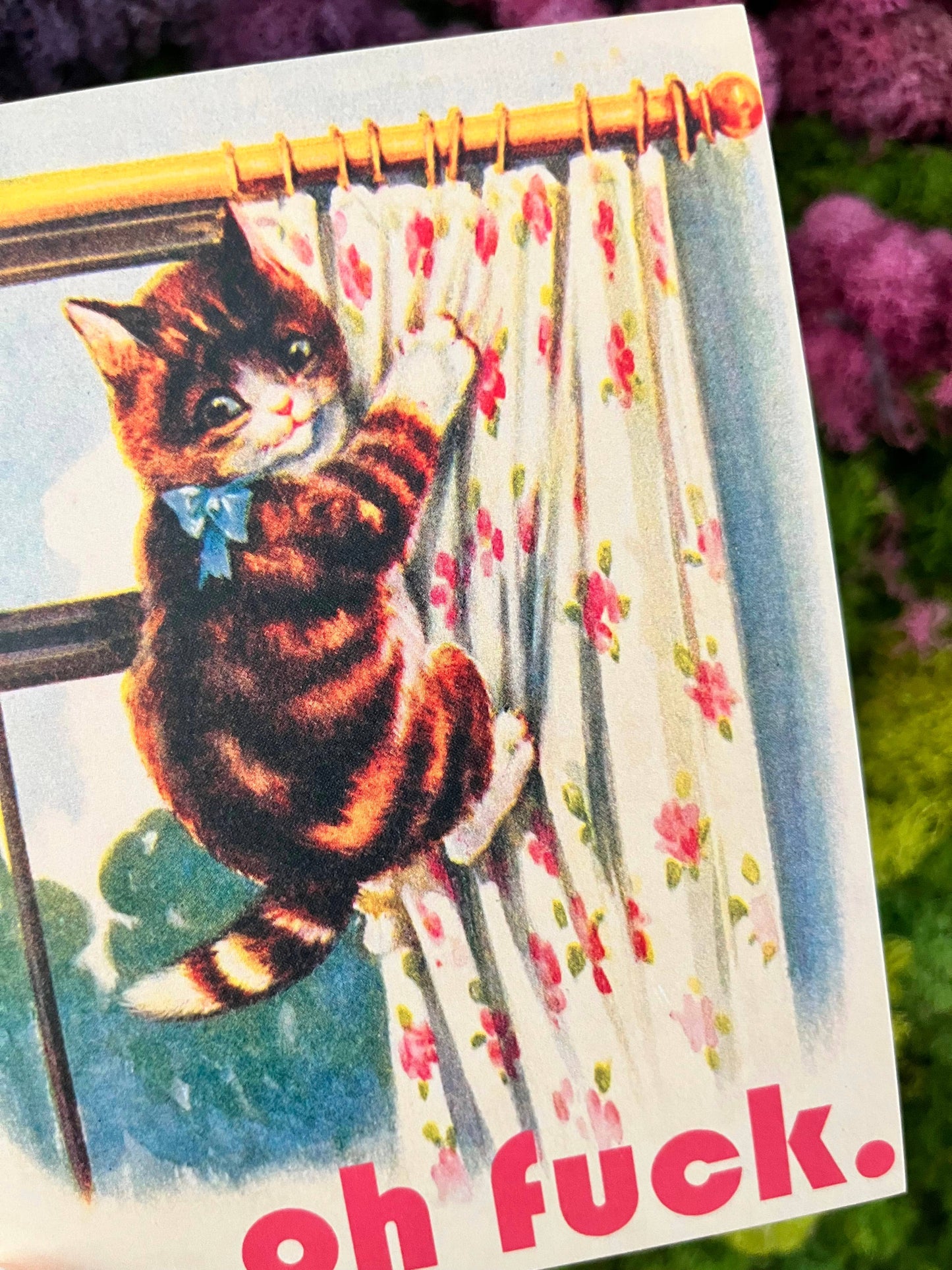 Oh Fuck Kitty Card