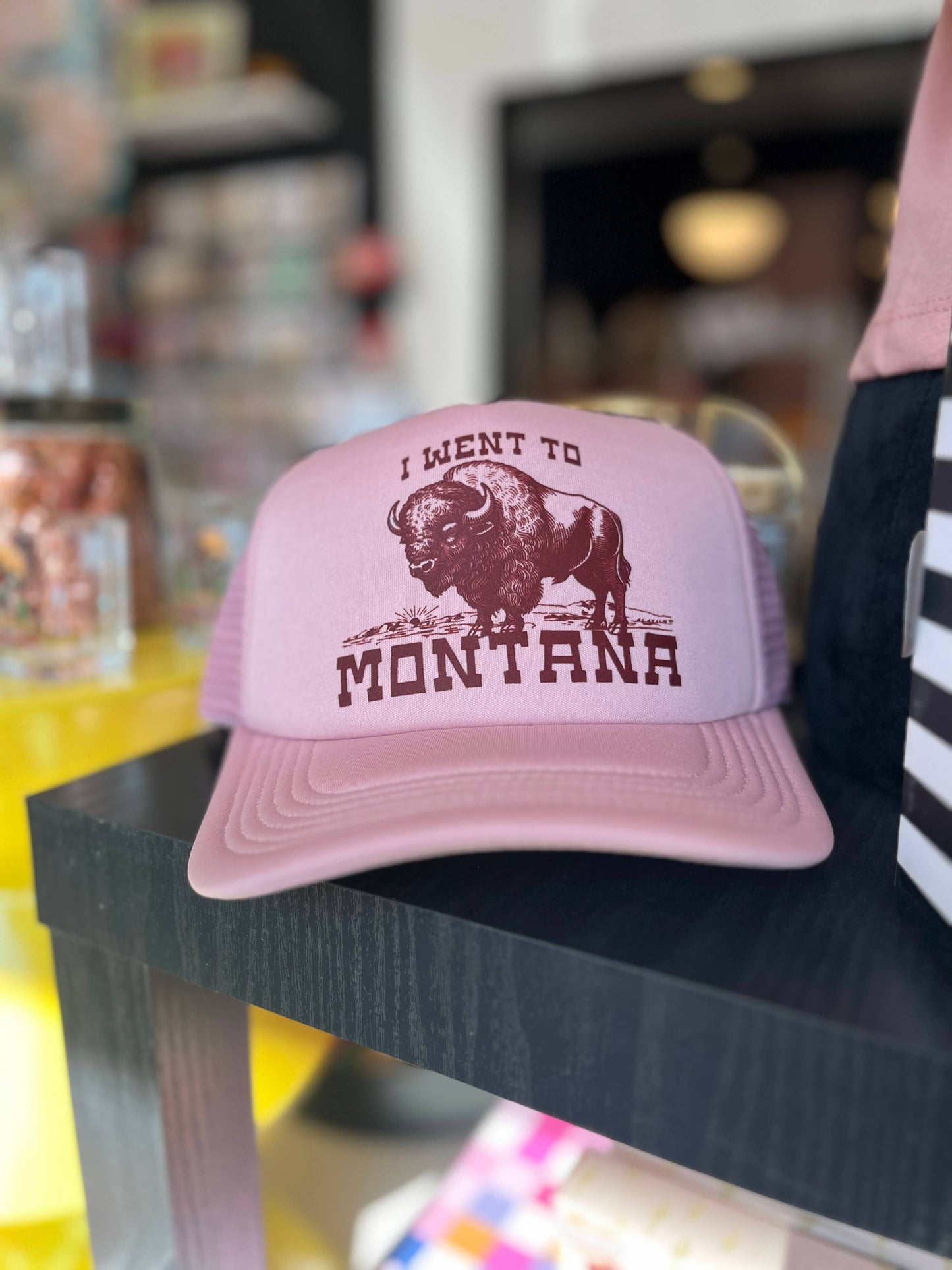 I Went To Montana Funny Bison Trucker Hat