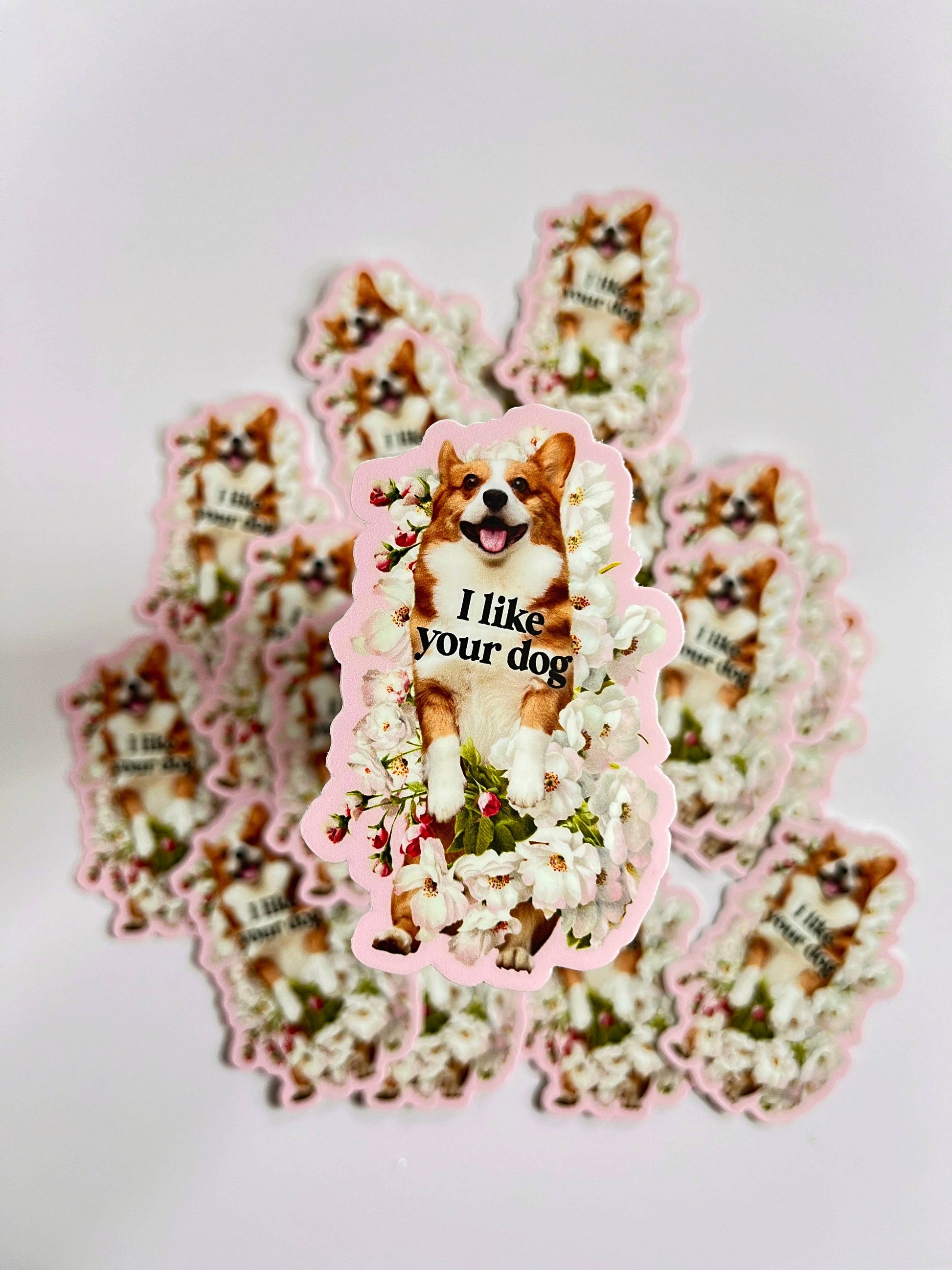 Colorful "I Like Your Dog" sticker from The Coin Laundry featuring playful dog-themed design and vibrant lettering.