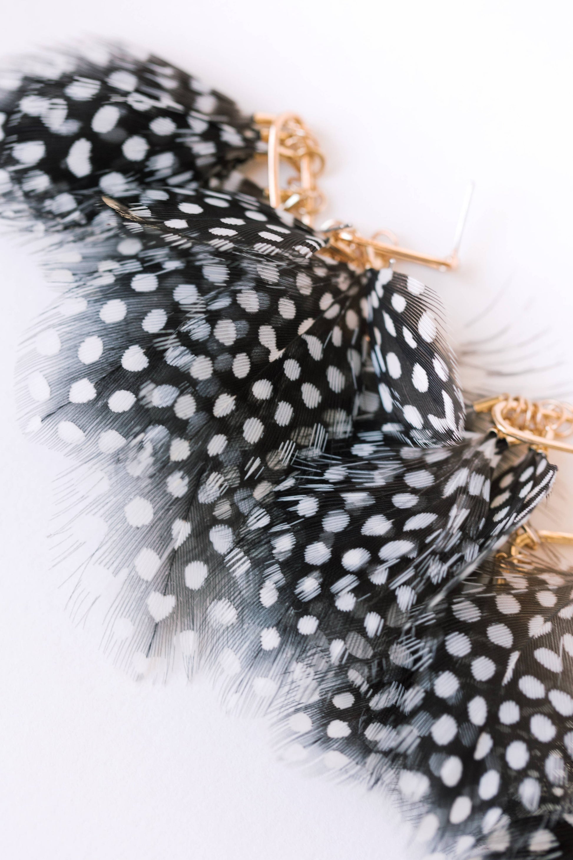 Spotted feather earrings by St Armands Designs of Sarasota, elegant gold-tone earrings with black and white feather details.