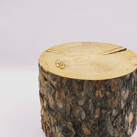 Mountainscape stud earrings