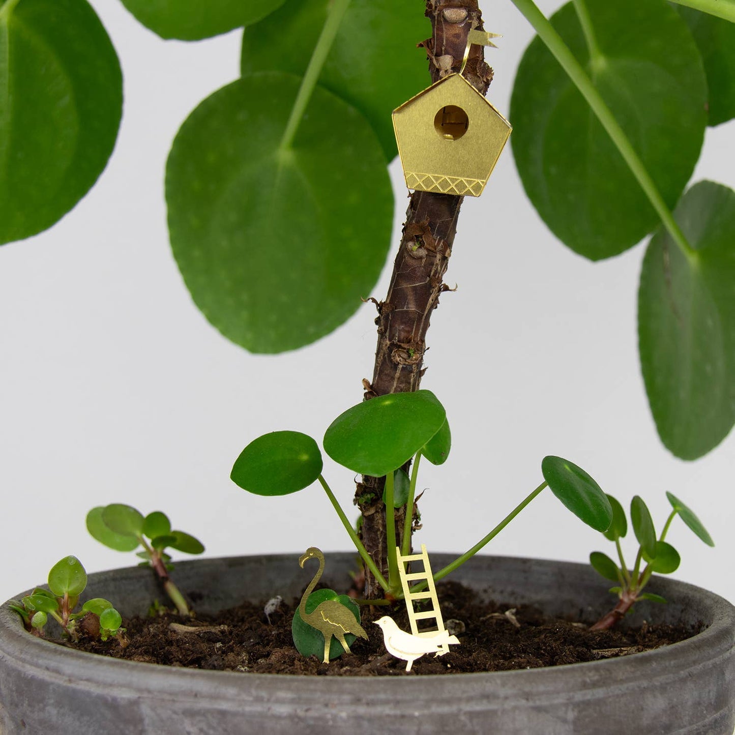 Tiny Botanopia USA birdhouse gift for plants, small decorative birdhouse ideal for plant lovers' decor.