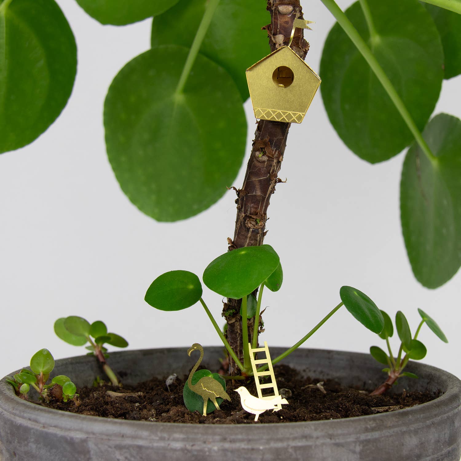 Tiny Botanopia USA birdhouse gift for plants, small decorative birdhouse ideal for plant lovers' decor.