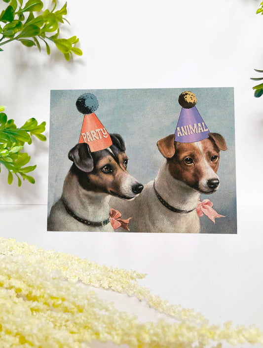 Party Animal Dogs Card