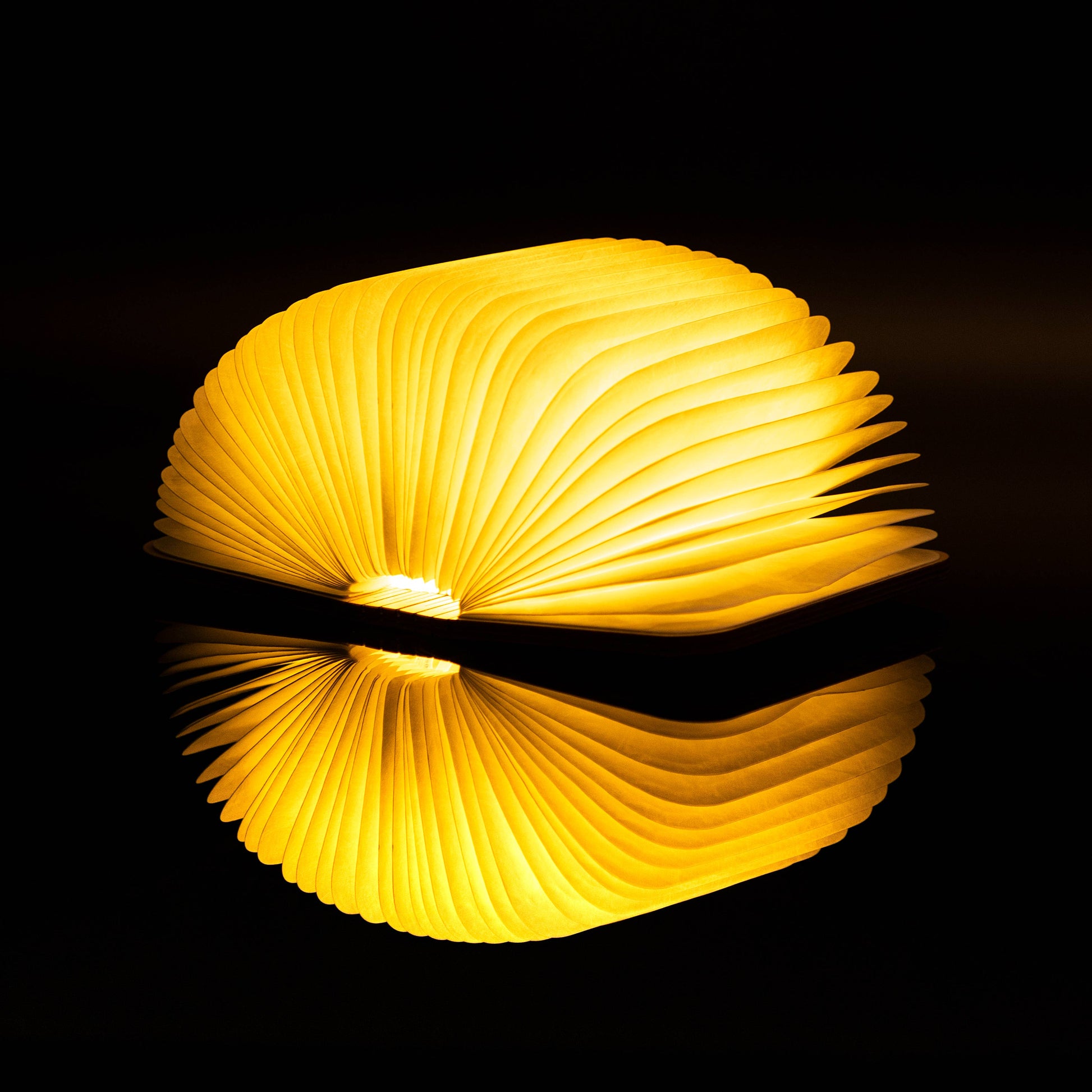 Natural wood smart book light by Gingko Design, featuring a sleek lamp with a wooden finish and integrated LED reading light.