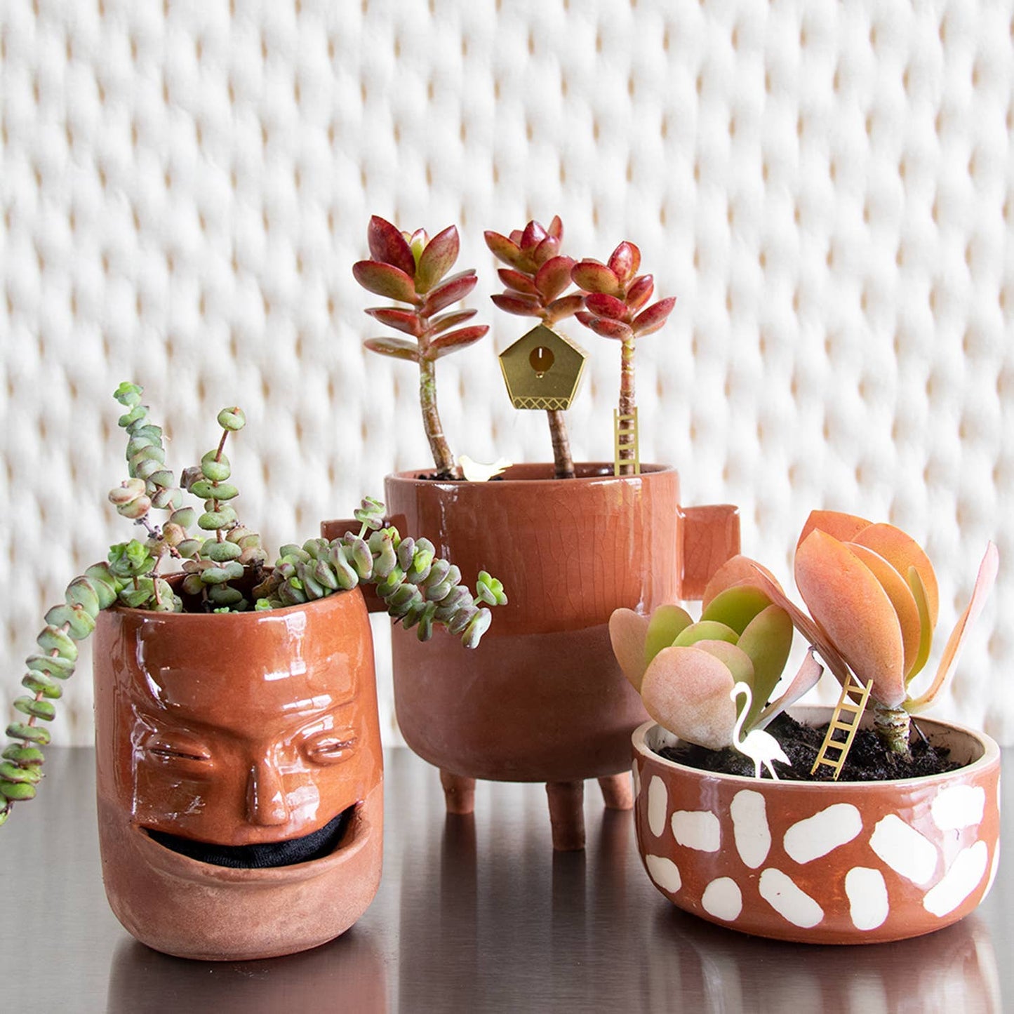 Tiny birdhouse gift by Botanopia USA, designed for plant lovers, featuring a charming miniature birdhouse decor for plants.