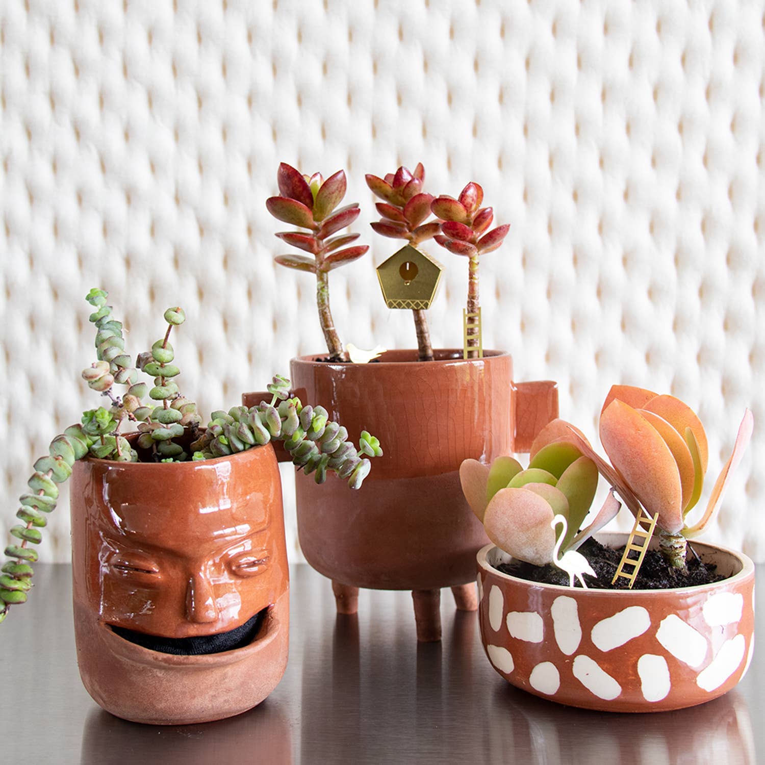 Tiny birdhouse gift by Botanopia USA, designed for plant lovers, featuring a charming miniature birdhouse decor for plants.