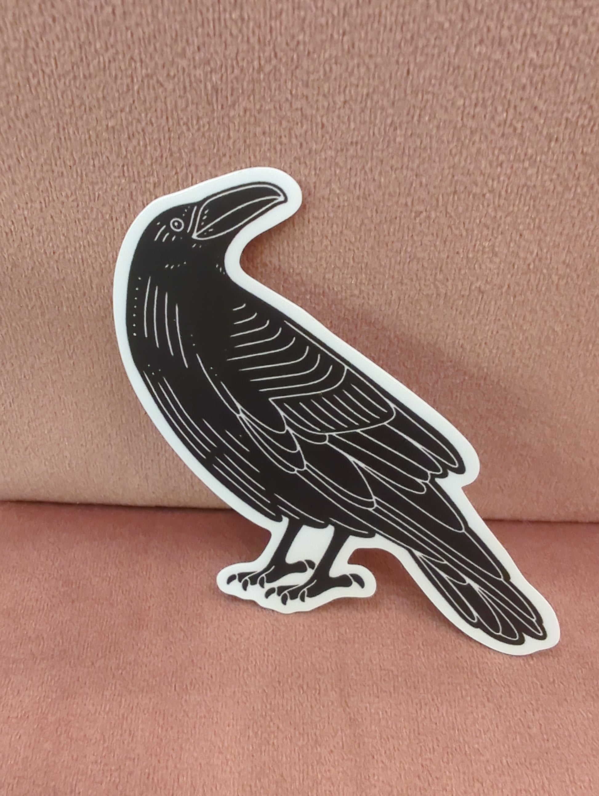Common raven sticker by Field Guide Designs featuring a detailed illustration of a black raven perched on a branch.