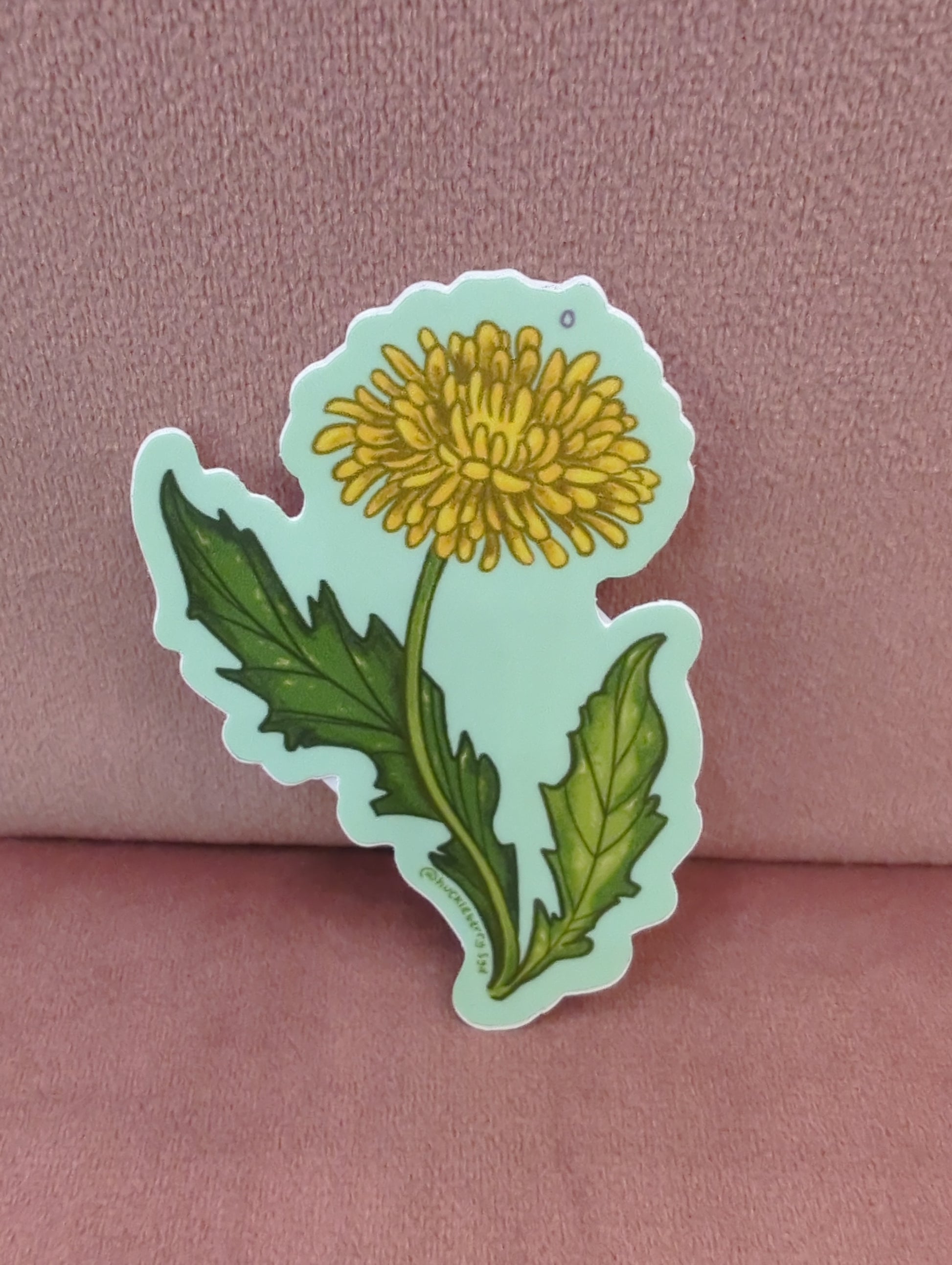 Sydney Boveng Dandelion sticker featuring a detailed illustration of a blooming dandelion flower on transparent background.